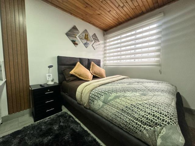 Lesano Suite