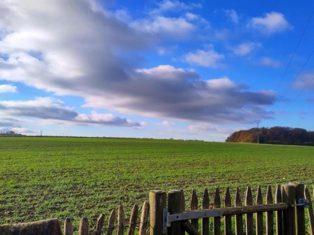 La Bergerie de Lives