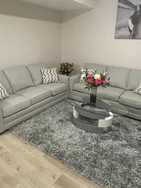 Modern suite in basement Upland