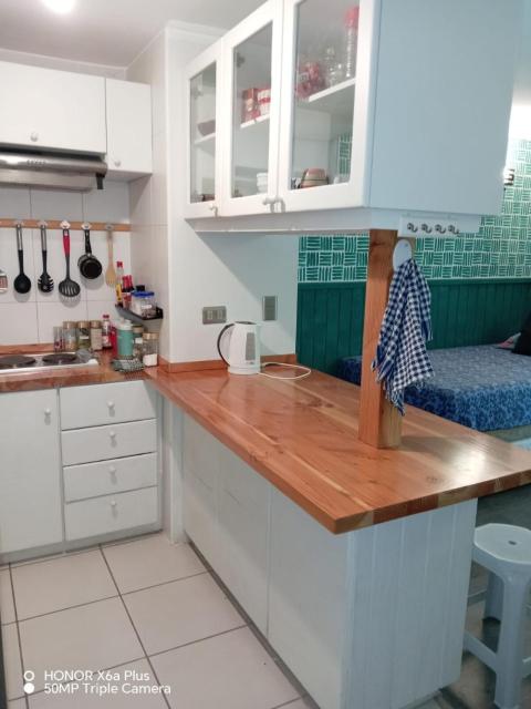 Departamento Pucon Parque