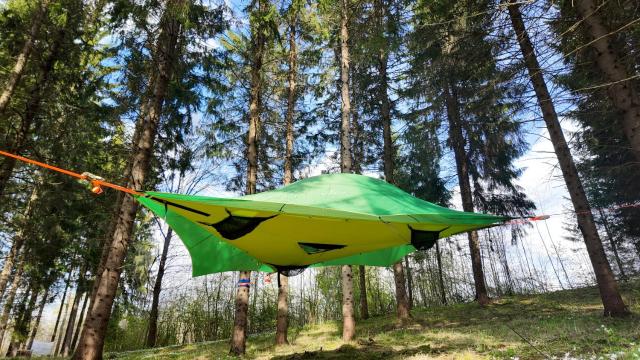 Tree tents Camping