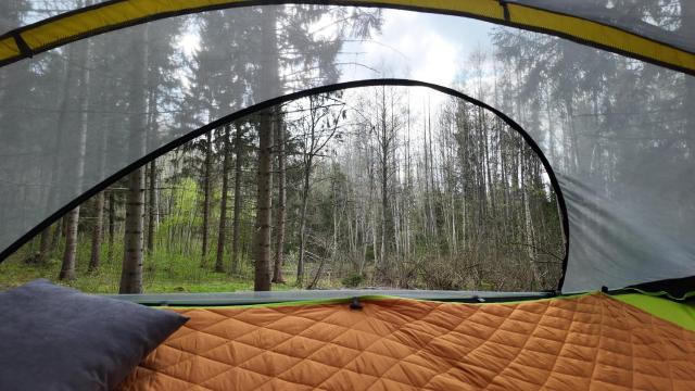 Tree tents Camping