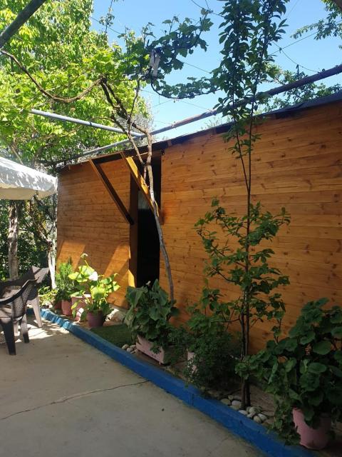 Guesthouse Rusto
