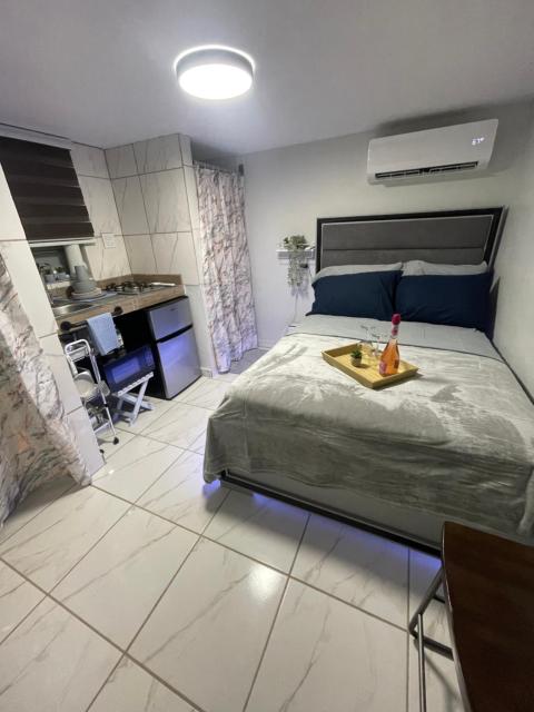 Mini Estudio del Río la Planta