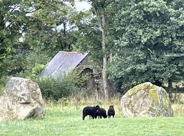 Petite Maison avec Menhirs et Moutons Ouessant