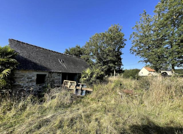 Petite Maison avec Menhirs et Moutons Ouessant