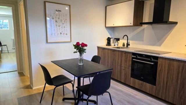 Reykjavík apartment in calm, central and leafy Laugardalur