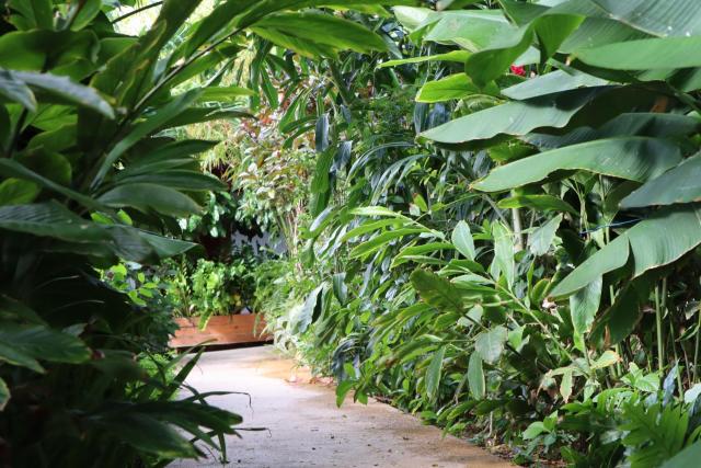 Amigunan Tropical Mini Resort