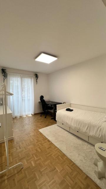 Modern Apartment in Basel