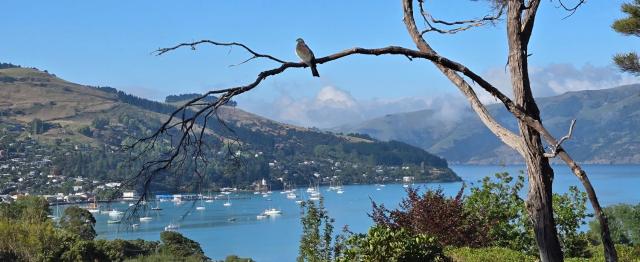 Laneside - Akaroa Holiday Cottage