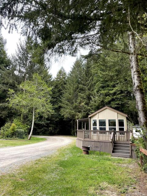 The Tall Trees Cabin