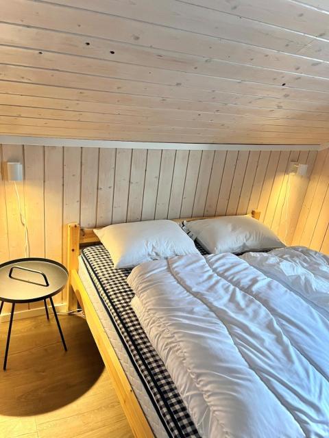 Modern cabin in amazing hiking area!