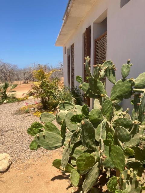 Rancho Escondido