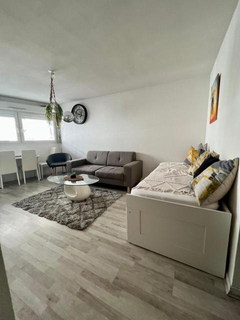 Appartement fonctionnel centre ville