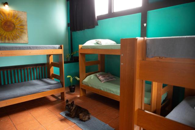 Hostel Casa Lion - Shared room