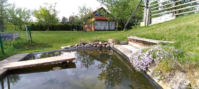 Village Vista - Mini Glamping Resort