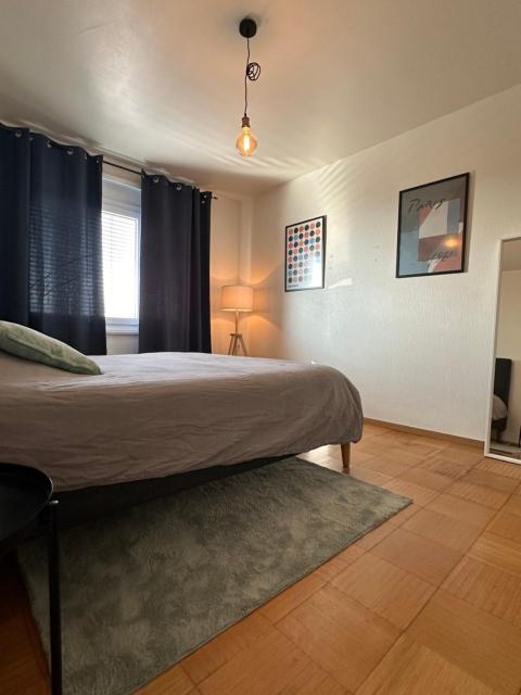Montreux centre appartement avec vue lac