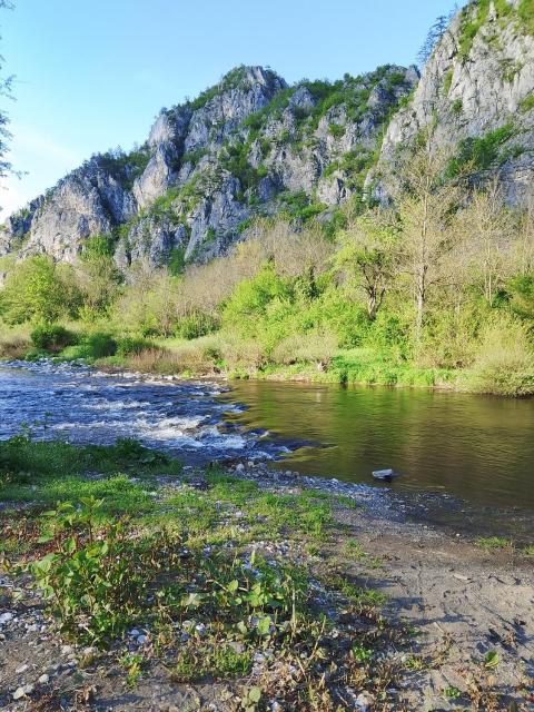 Camping Dobrunvik