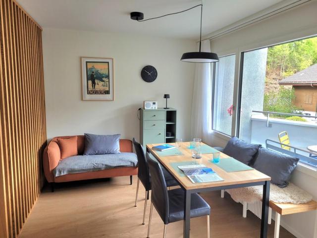 Central, newly renovated 2-room apartment