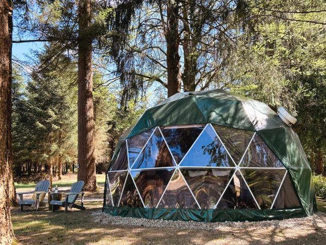 High Moor Glamping