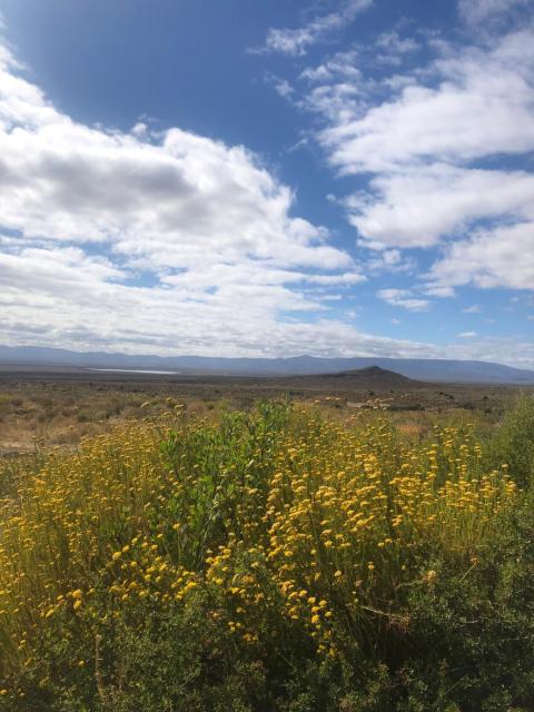 Bokmakierie Cabin, Tankwa Karoo
