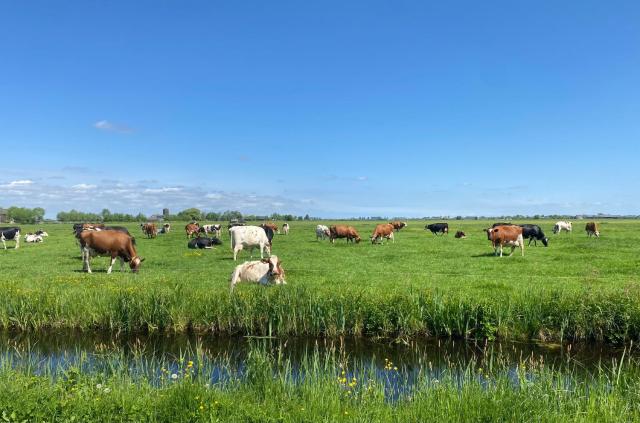 Geniet van de rust en de ruimte