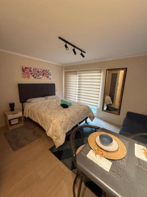 Departamento estudio en el centro de Temuco