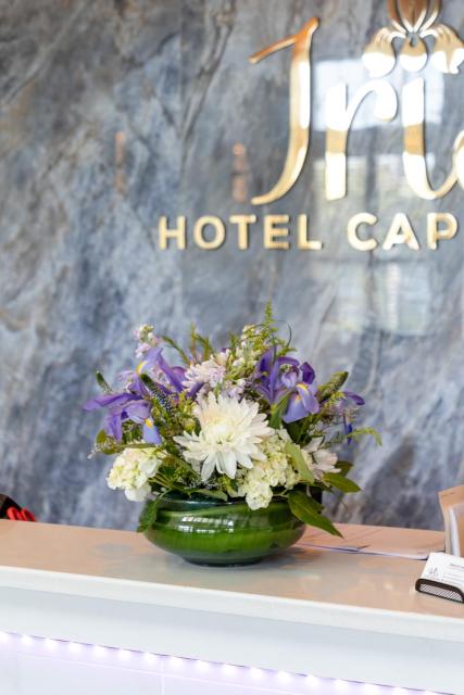 Iris Hotel Cape Cod