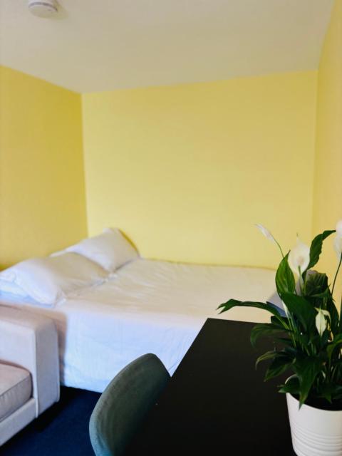 Entire Flat in Edinburgh, City Center
