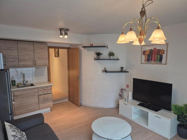cozy apartment