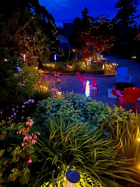 The White Rabbit Inn