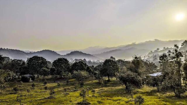 Green Love Garden Resort