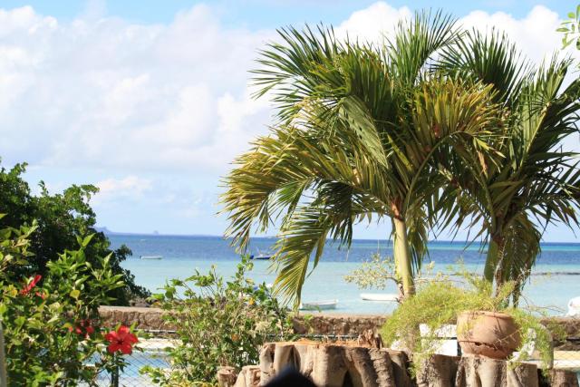 Villas Banyan