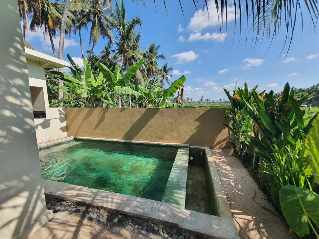 Tirtam One Bedroom Private pool W Kitchenette
