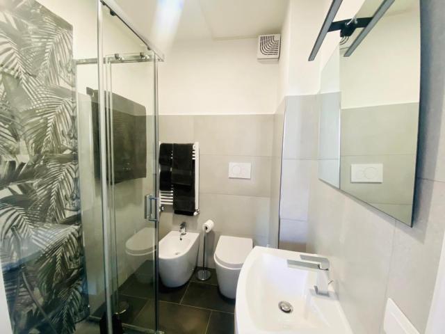 Domus 14