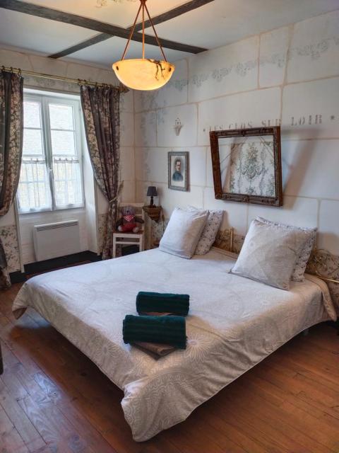 Le Jardin Yuccas - Cosy cottage in the Loir& Loire Valleys