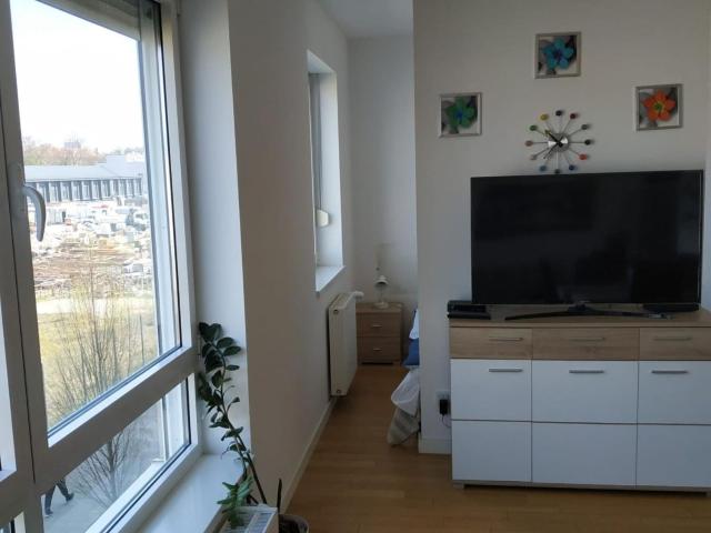 Apartments Cankareva