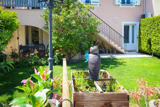 Provençale de Biot