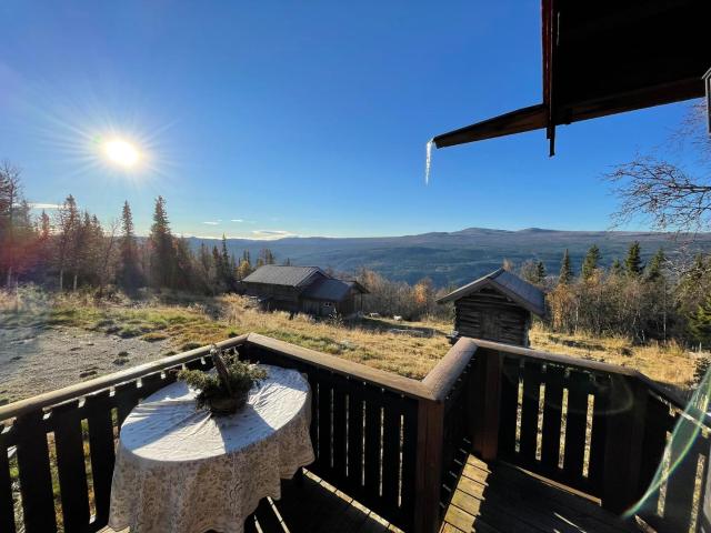 Thorpeset cabin by Norgesbooking - cabin with amazing view