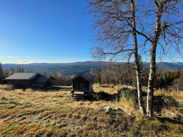 Thorpeset cabin by Norgesbooking - cabin with amazing view