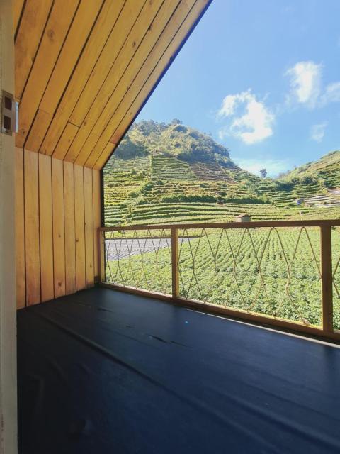cabin view danau