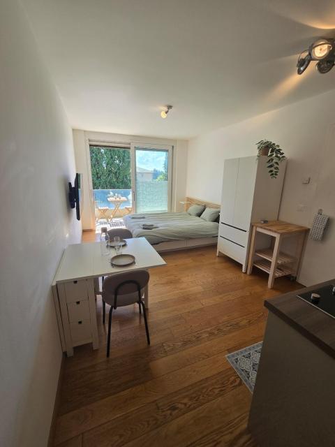 Cozy studio with a terrace