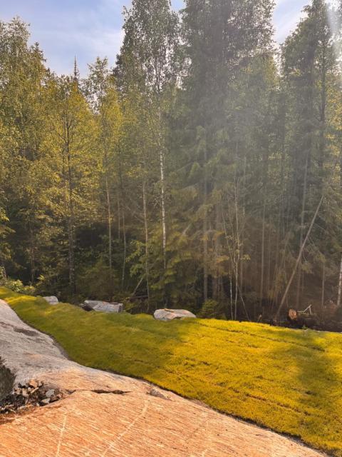 The Oslo Cabin