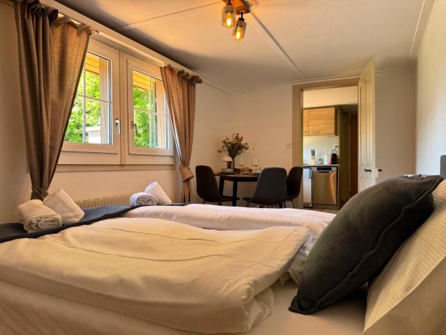 River 4-Kissed Retreat with Iconic Jungfraujoch View