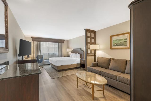 Best Western PLUS Vineyard Inn and Suites