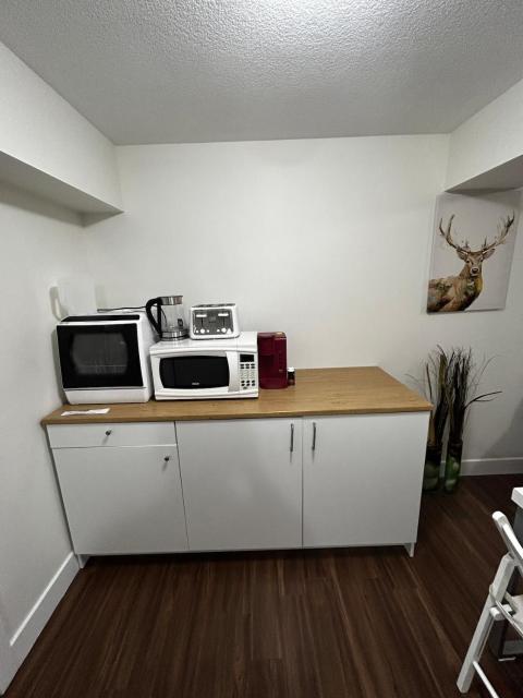 Entire 1 bedroom basement suite with Kitchenette and Laundry