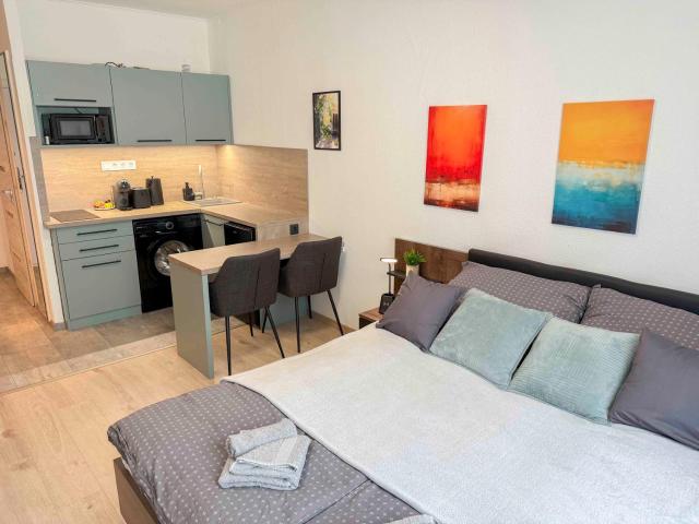 VH25 Victor Apartment