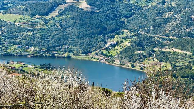 Quinta de CasalMato - Douro Valley