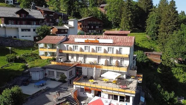 Adrenalin Backpackers Hotel