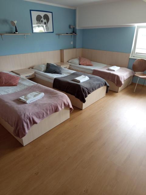 Hostel Rakietka